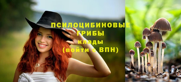 бошки Майский